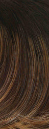 Sheer Style | Synthetic Wig (Lace Front Mono Top) - Ultimate Looks
