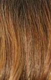 Flex TP Wig by Amore | Synthetic (Lace Front Mono Top) - Ultimate Looks - Ultimatelooks