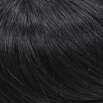 301 F-Top Blend 1/2" Tape-tab  by WIGPRO: Hand Tied Human Hair Piece