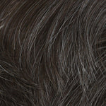 Sophistication Wig by HIM | Heat Friendly Synthetic - Ultimate Looks