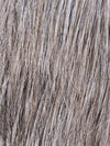 Steven Sport Wig by Ellen Wille | Men's Synthetic - Ultimate Looks - Ultimatelooks