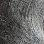 Dignified Wig by HIM | Synthetic Lace Front (Mono Top) - Ultimate Looks