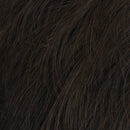 Daring Wig by HIM by HairUWear | HF Synthetic Lace Front Wig (Mono Part) - Ultimate Looks