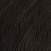 Daring Wig by HIM by HairUWear | HF Synthetic Lace Front Wig (Mono Part) - Ultimate Looks - Ultimatelooks