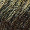 Power Wig by Raquel Welch | Synthetic (Traditional Cap) - Ultimate Looks - Ultimatelooks