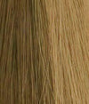 Preston Wig by Estetica Designs | Synthetic (Lace Front Mono Top) - Ultimate Looks - Ultimatelooks