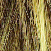 Stop Traffic Wig by Raquel Welch | Synthetic (Mono Crown) - Ultimate Looks - Ultimatelooks