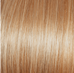 Voltage Elite Wig by Raquel Welch | Synthetic (Monofilament Top) - Ultimate Looks