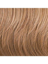 Aperitif Hairpiece by Raquel Welch | Straight Synthetic Hair Buns - Ultimate Looks - Ultimatelooks