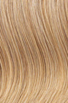 HD 27In Hollywood Cinch Hairpiece by Hairdo | Heat Friendly Extension Pony
