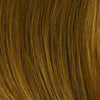Applause Wig by Raquel Welch Wig by Raquel Welch | Human Hair (Lace Front Mono Top) - Ultimate Looks - Ultimatelooks