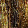 Winner Wig by Raquel Welch | Synthetic (Traditional Cap) - Ultimate Looks - Ultimatelooks