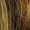 Stop Traffic Wig by Raquel Welch | Synthetic (Mono Crown) - Ultimate Looks - Ultimatelooks