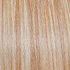 Scene Stealer Wig by Raquel Welch | Heat Friendly Synthetic Lace Front (Mono) - Ultimate Looks - Ultimatelooks