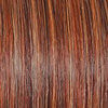 Editor's Pick Large Wig by Raquel Welch | Heat Friendly Synthetic Lace Front (Mono) - Ultimate Looks - Ultimatelooks