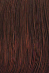Editor's Pick Large Wig by Raquel Welch | Heat Friendly Synthetic Lace Front (Mono) - Ultimate Looks - Ultimatelooks