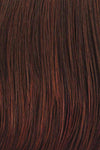 Spotlight Wig by Raquel Welch | Heat Friendly Synthetic Large (Lace Front Mono Top)