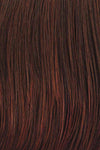 Well Played Wig by Raquel Welch | Synthetic Lace Front Partial (Mono) - Ultimate Looks - Ultimatelooks