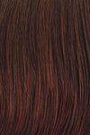 Well Played Wig by Raquel Welch | Synthetic Lace Front Partial (Mono) - Ultimate Looks