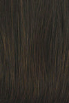 Unfiltered Wig by Raquel Welch | Heat Friendly Synthetic (Traditional Cap) - Ultimate Looks - Ultimatelooks