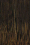 Unfiltered Wig by Raquel Welch | Heat Friendly Synthetic (Traditional Cap) - Ultimate Looks - Ultimatelooks