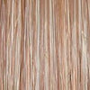 Wavy Day Wig by Raquel Welch | Synthetic Lace Front (Mono Top) - Ultimate Looks - Ultimatelooks