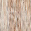 Wavy Day Wig by Raquel Welch | Synthetic Lace Front (Mono Top) - Ultimate Looks - Ultimatelooks