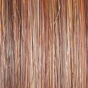 On Fire Wig by Raquel Welch | Synthetic Lace Front (Mono)