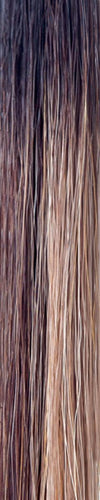 Angelica Wig by Noriko | Synthetic - Ultimate Looks - Ultimatelooks