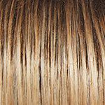 Ahead of the Curve Wig by Raquel Welch | Synthetic Lace Front (Mono Part)