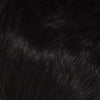 800 Pony Curl by WigPro: Synthetic Hair Piece - Ultimate Looks - Ultimatelooks