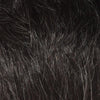 540 Naivete by WigPro: Synthetic Wig | Clearance Sale