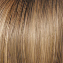 Beaming Beauty Wig By Gabor | Synthetic (Lace Front Mono) - Ultimate Looks