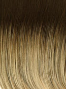On The Cover Wig by Raquel Welch | Heat Friendly Synthetic (Lace Front Mono) - Ultimate Looks